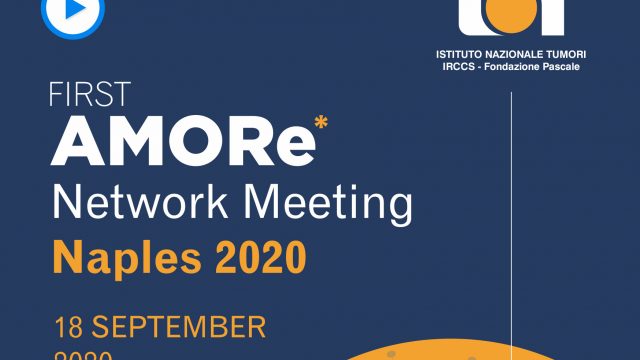 FIRST AMORe Network Meeting  Naples 2020